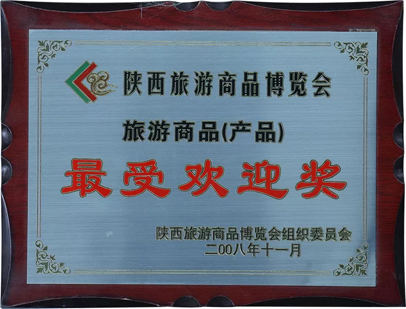 2008年-最受欢迎奖